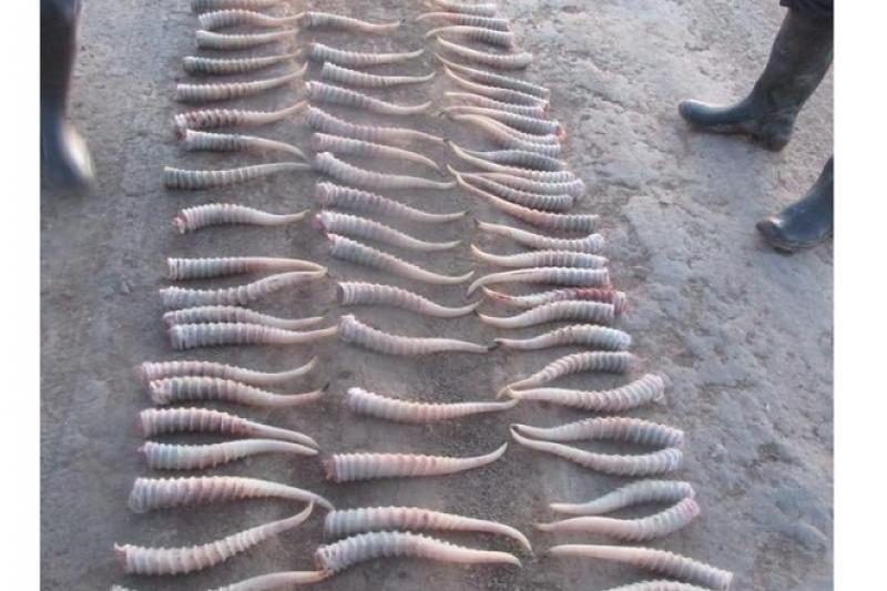 Hd порно хатшылары