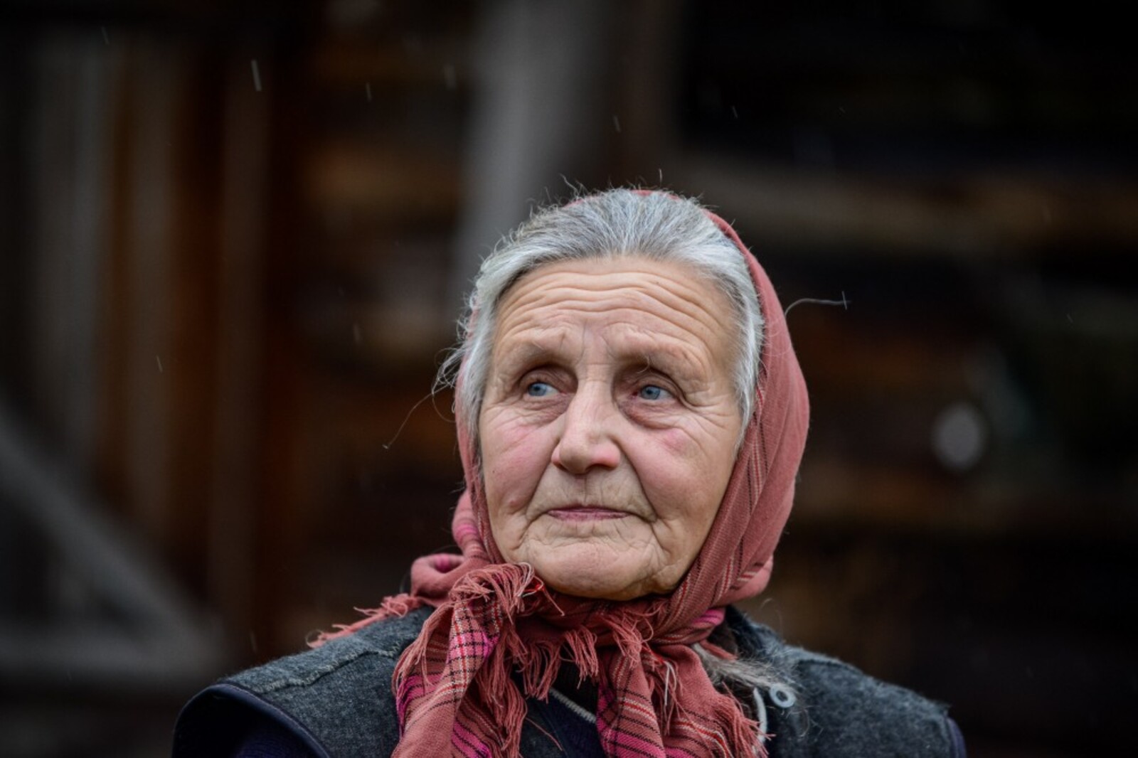 Старые женщины россии. Старая женщина. Фотографии бабушек. Лицо бабушки. Лицо пожилой женщины.