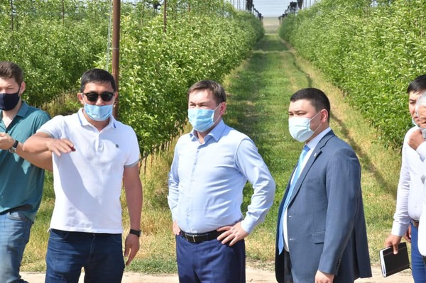 САДОВОДСТВО В АЛТЫНТОБЕ