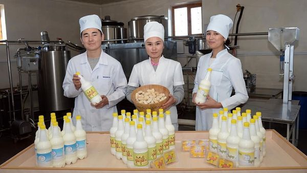 Шымкент қаласында тамақ өнеркәсібінде 161 кәсіпорын жұмыс істейді