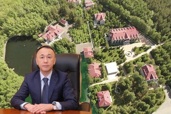 Әкім 21 гектар резиденциясын сата ма?