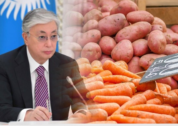 Тоқаев көкөністер неге қымбаттағанын айтты