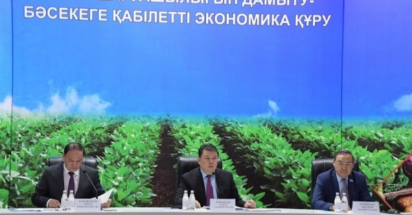"Импортты азайтып, суды үнемдеуіміз керек" - Қапшағайға министр мен сенатор келді