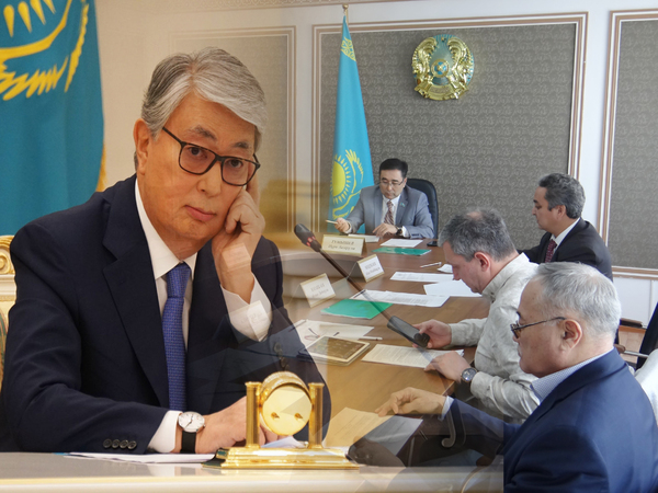 «Тумышев қағидаға қайшы келді». Қоғамдық кеңес мүшелері Тоқаевқа хат жазды