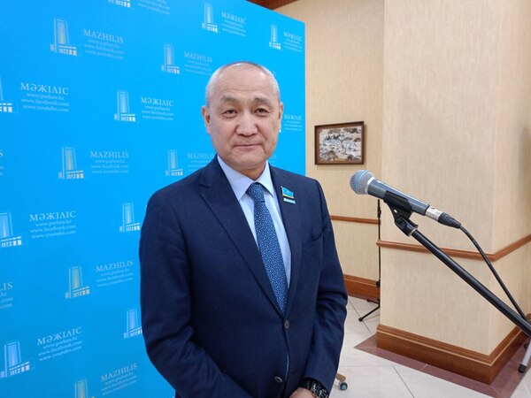 Мәжіліс депутаты еліміздің жылу энергетикасындағы делдалдар жайлы айтты