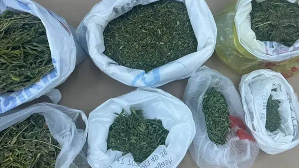 Заңсыз айналымдағы 13 тоннаға жуық есірткі тәркіленді