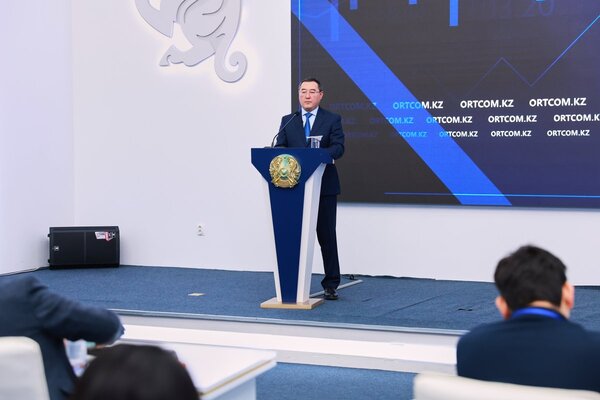 «Біраз кемшіліктерімізді көрсетті». Сұлтанғазиев субсидиялау саласындағы заңсыздықтар туралы айтты