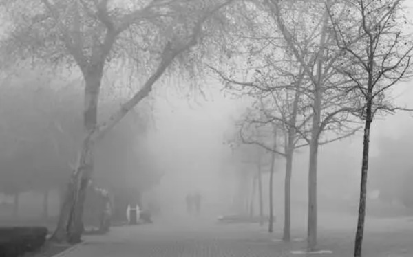 Бүгін елімізде құбылмалы ауа райы сақталады