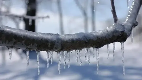 Еліміздің 15 өңірінде дауылды ескерту жарияланды