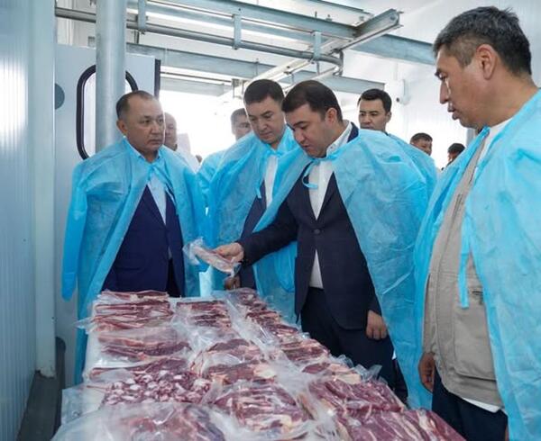 Түркістан: Сарыағашта өндіріс және ауыл шаруашылығы саласында жобалар жүзеге асуда