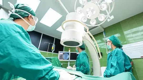 Адамға алғаш рет шошқаның өкпесі салынды