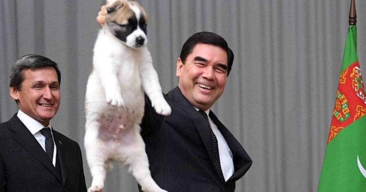 Олена Беркова порно видео