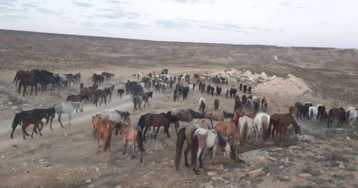 Қарттар мен жастардың секс видеосы Амур облысындағы Светлана есімді қыздардың қатысуымен порно видео