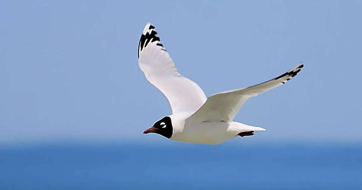 Шынайы өмірде үлкен кеуделер Карма мен жыныстық қатынастың ыдырауы: афоризмдер