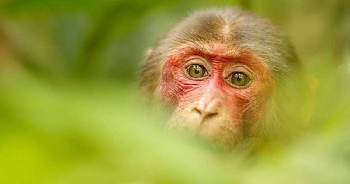 Ресейлік жұлдыздардың интимдік фотосуреттері Автокөлікпен онлайн секс видео