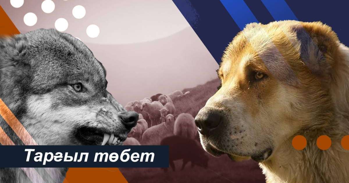 БДСМ лесбияндарының фотосуреттері