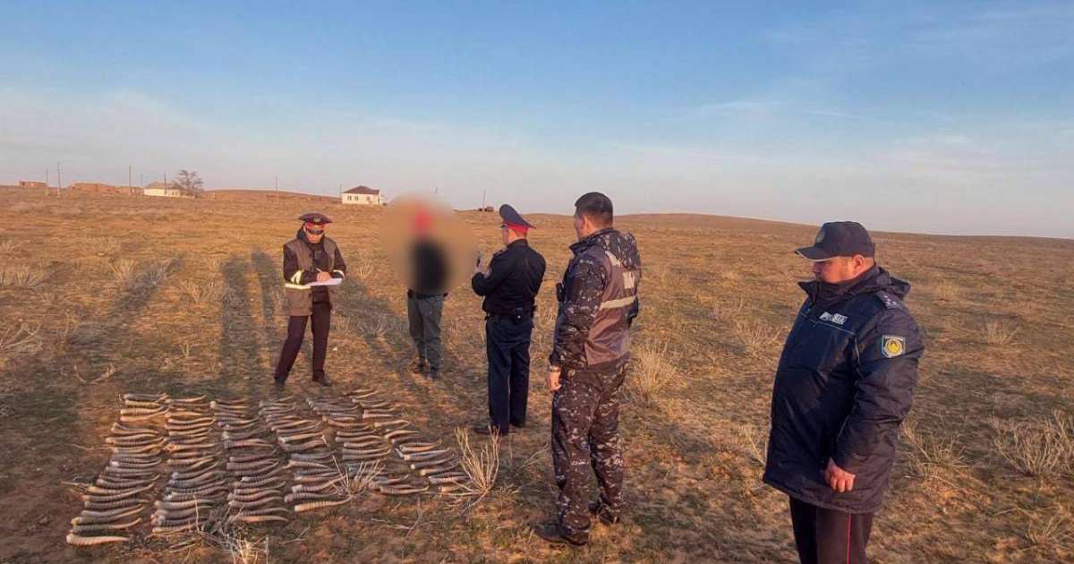 Көзілдірік киген ханымдар өздерінің түкті кискаларын көрсетеді