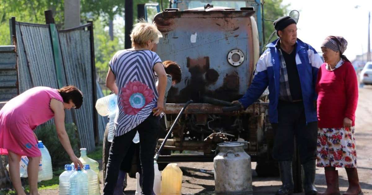 ВКонтактедегі түкті кискаға арналған мөлдір қалпақ
