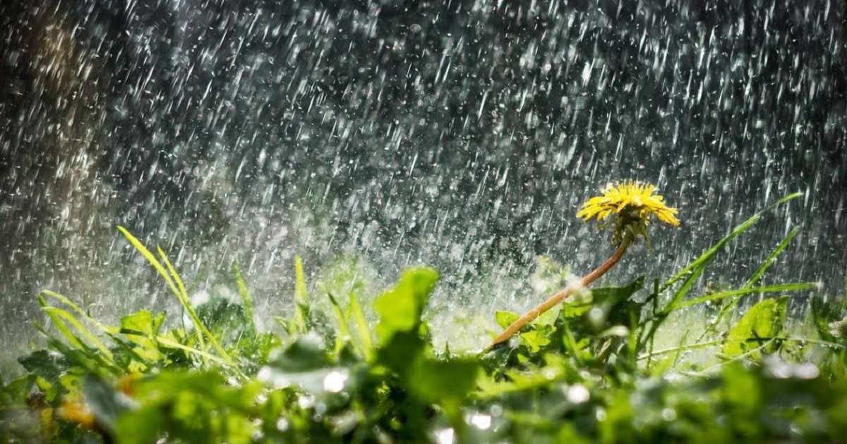 Ауызша жыныстық қатынас кезінде гаг рефлексін болдырмау үшін