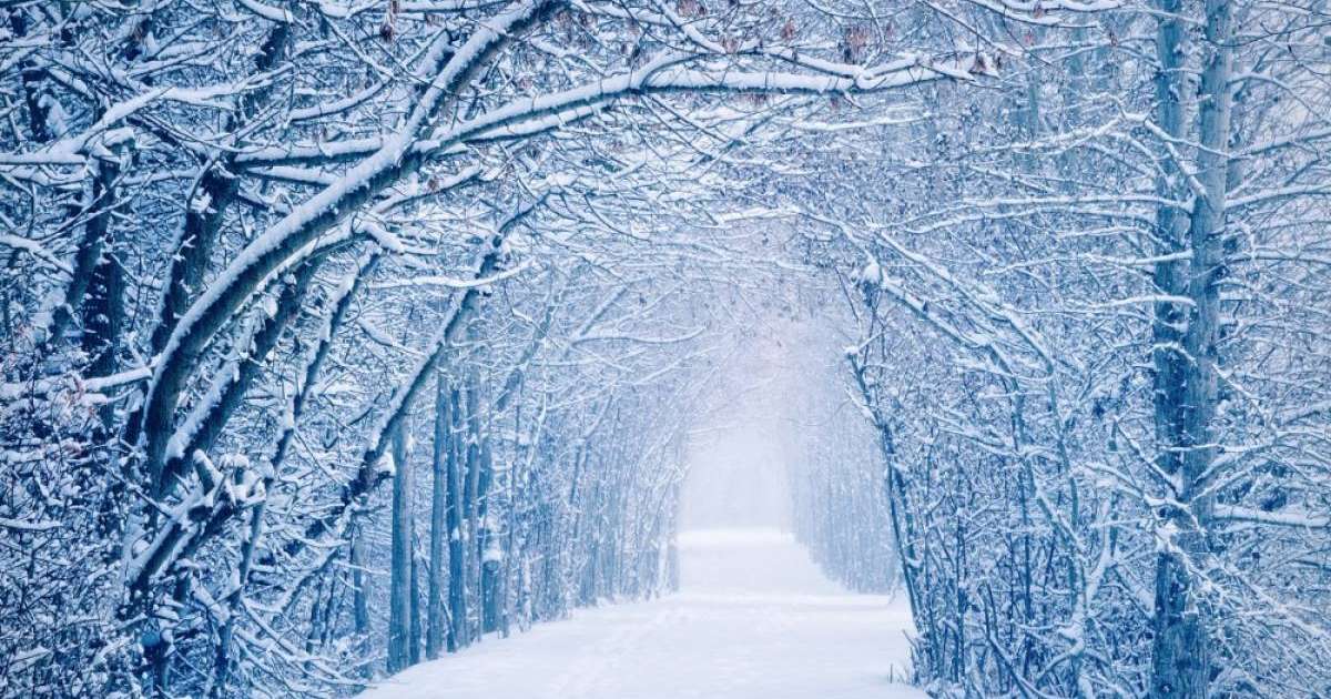 Жеңіл лесбияндық БДСМ сағаты