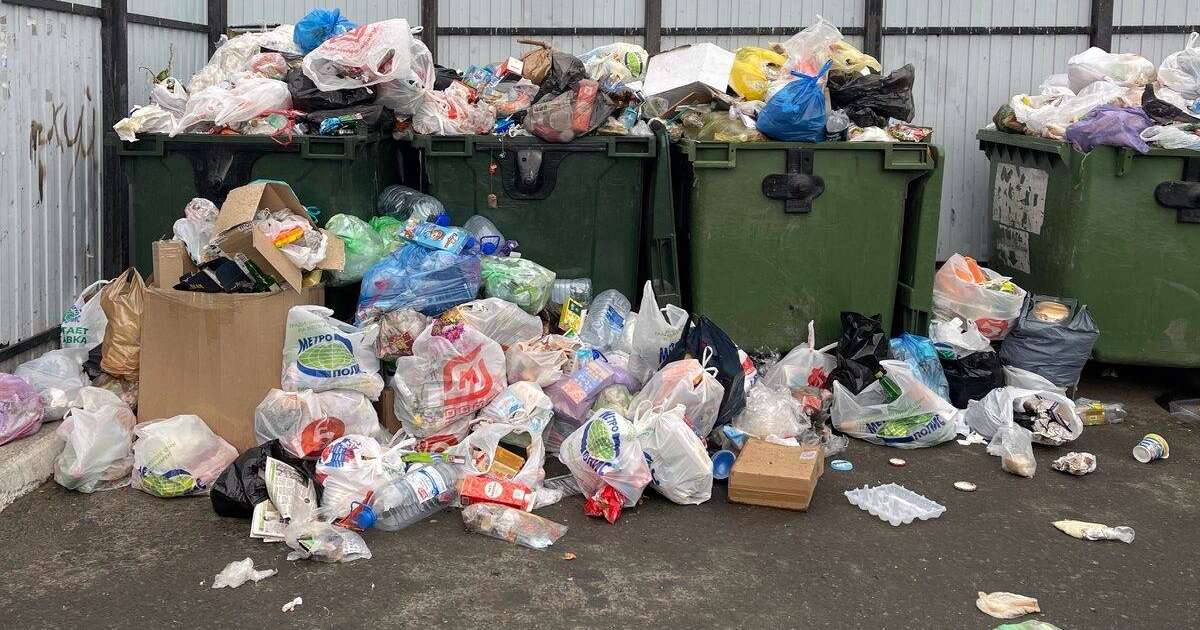 Жыныс мүшесін байлау фотосы