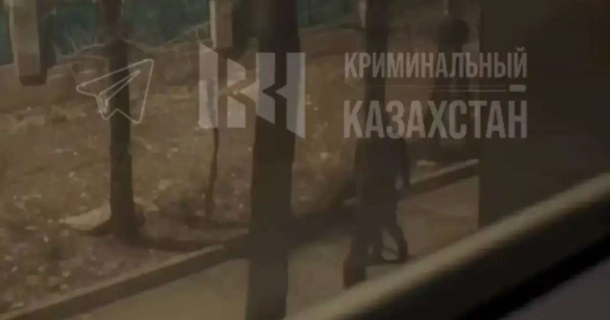 Натали Дормер порно көру