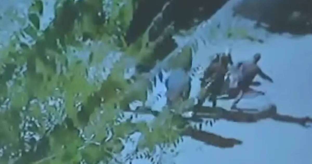 Ленинградская секс