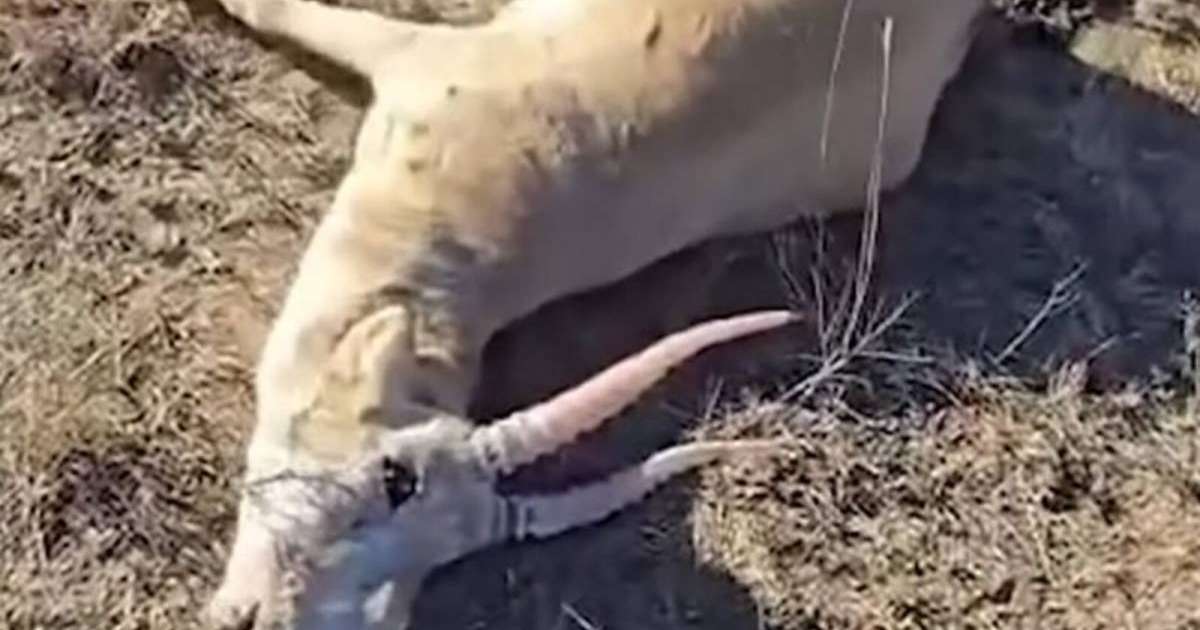 Ойықтардағы секс