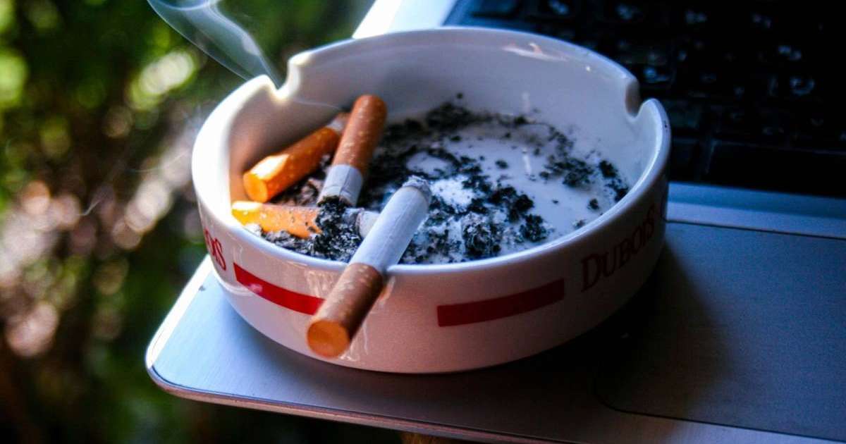 Олар көптеген сперматозоидтары бар қынаптағы қаптайды