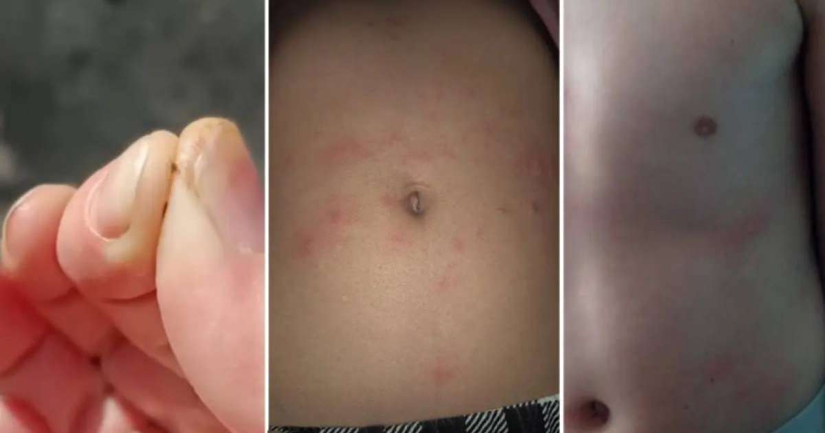 Касаткина Барац Аннаның жалаңаш суреті