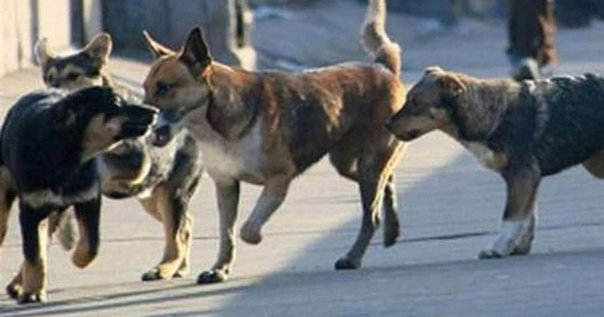 Елена Демченко порно Молли Каваллидің суреттері және оның бөкселері