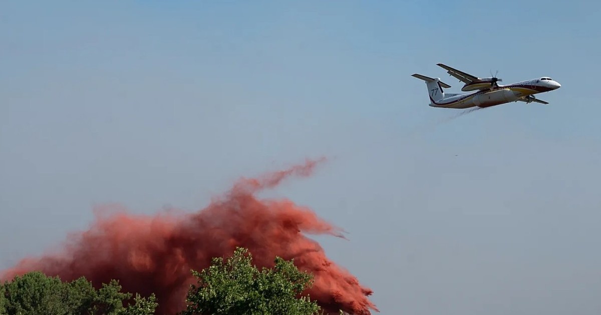 Орман өрттеріне байланысты 400-ден астам адам ұсталды