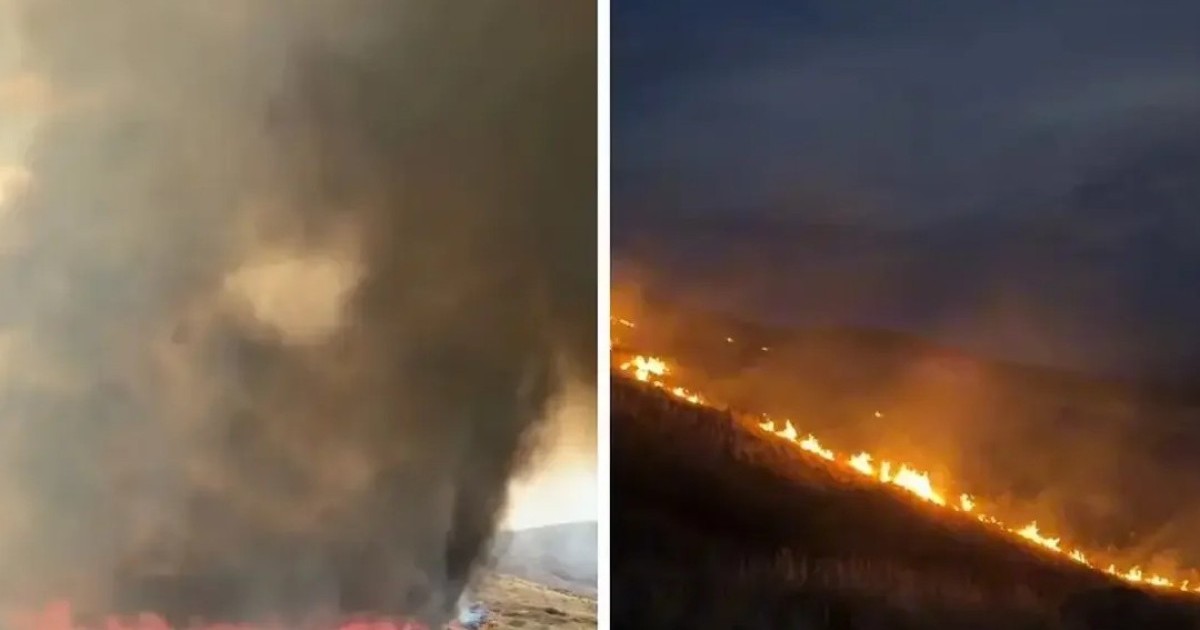 Қарағанды облысында ірі табиғи өрт сөндіріліп жатыр