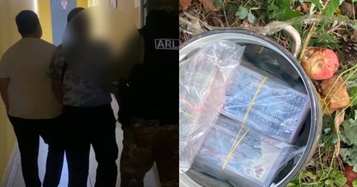 Павлодарда алма ағашының түбінен 24 млн теңге жасырылған ыдыс табылды