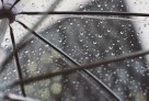 Бүгін бірнеше өңірде қар аралас жаңбыр жауады