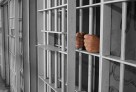 Польшада тұтқындалған Қазақстан азаматы бостандыққа шықты