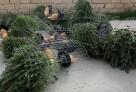 Маңғыстауда есірткі зертханасын ұйымдастырған екі адам қамауға алынды