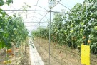 Қызылордада испандық «Roca Group» зауытының іргетасы қаланды