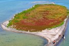 Каспий тартылып жатыр: теңізде жаңа арал пайда болды