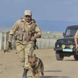 ҰҚК шекарашылары 4 мыңнан астам шетел азаматын ұстады