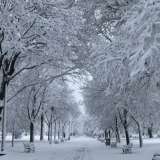 Ауа райына байланысты 11 өңірінде ескерту жарияланды