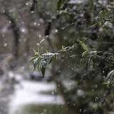 Еліміздің бірнеше аймағында қар жауып, соңы көктайғаққа ұласады