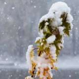 8 қарашада ауа райы қандай болатыны болжанды