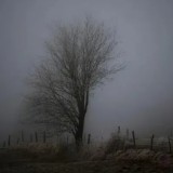 17 қарашада ауа райы қандай болады?