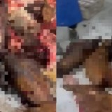 Антисанитариялық цех: Астанада заңсыз ет өндірушілер ұсталды