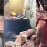 Ет алғанда сақ болыңыздар: заңсыз жұмыс істеген цехтан 3 тонна ет табылды