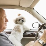 Қыдырып жүріп, 62 жастағы кемпірін жол бойында ұмытып кеткен