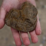 Бішкекте ер адам қызды таспен ұрып, басын жарып жіберген (ВИДЕО)