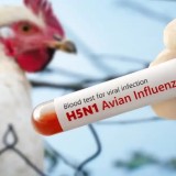 Әлемде алғаш рет құс тұмауынан адам қайтыс болды