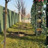 «Таза Қазақстан»: Алматының Жетісу ауданында көгалдандыру жалғасып жатыр